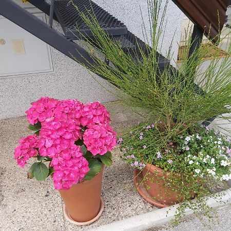 Apartma Arnez Bled Zewnętrze zdjęcie